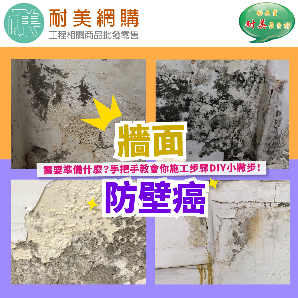 a.壁癌